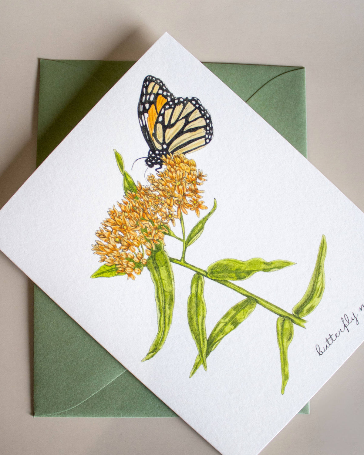 Boxed Botanical Illustration Greeting Card Set
