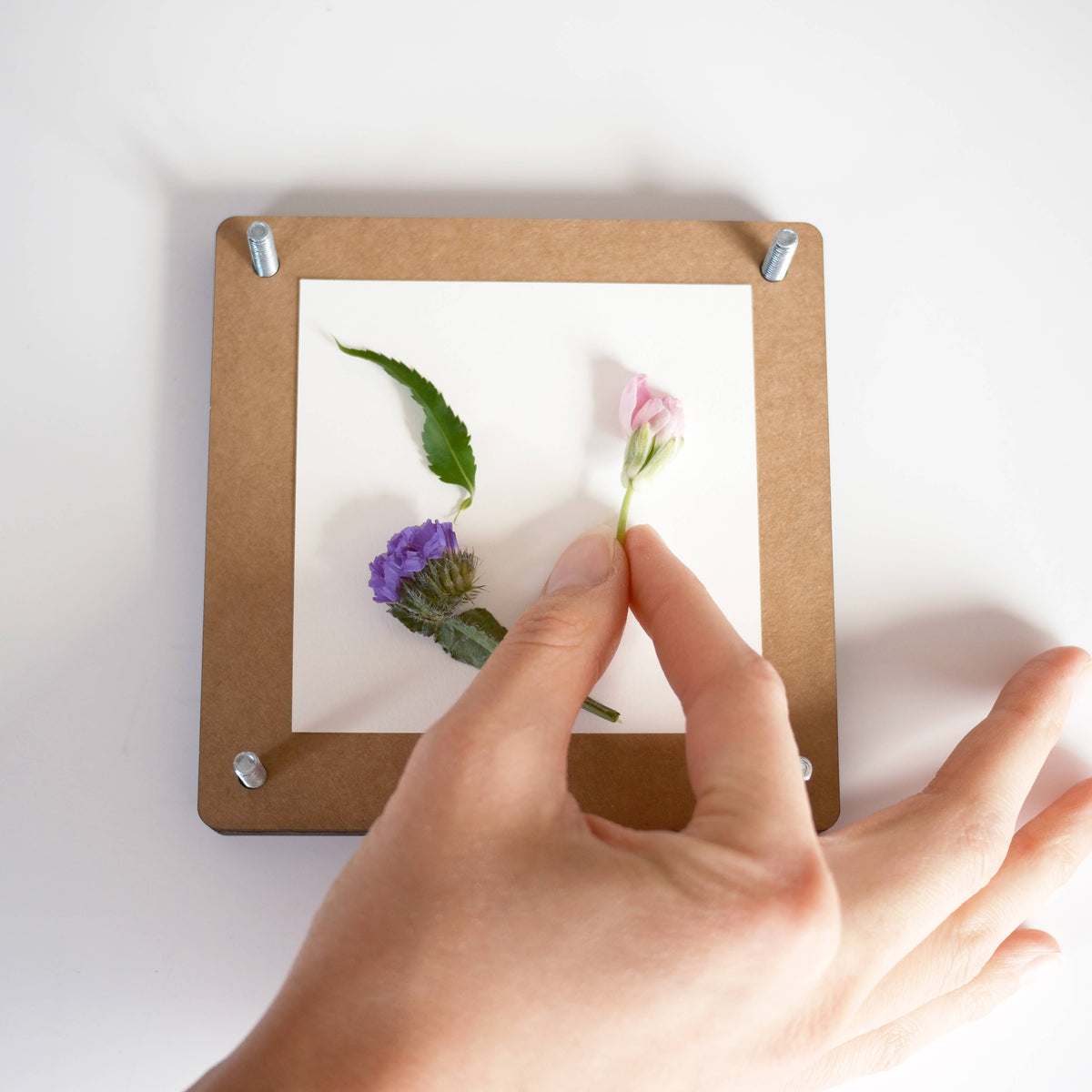 Flower Press Kit - Pressed Floral Accessories