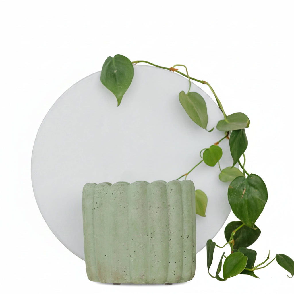 Scallop Planter - 4.5"